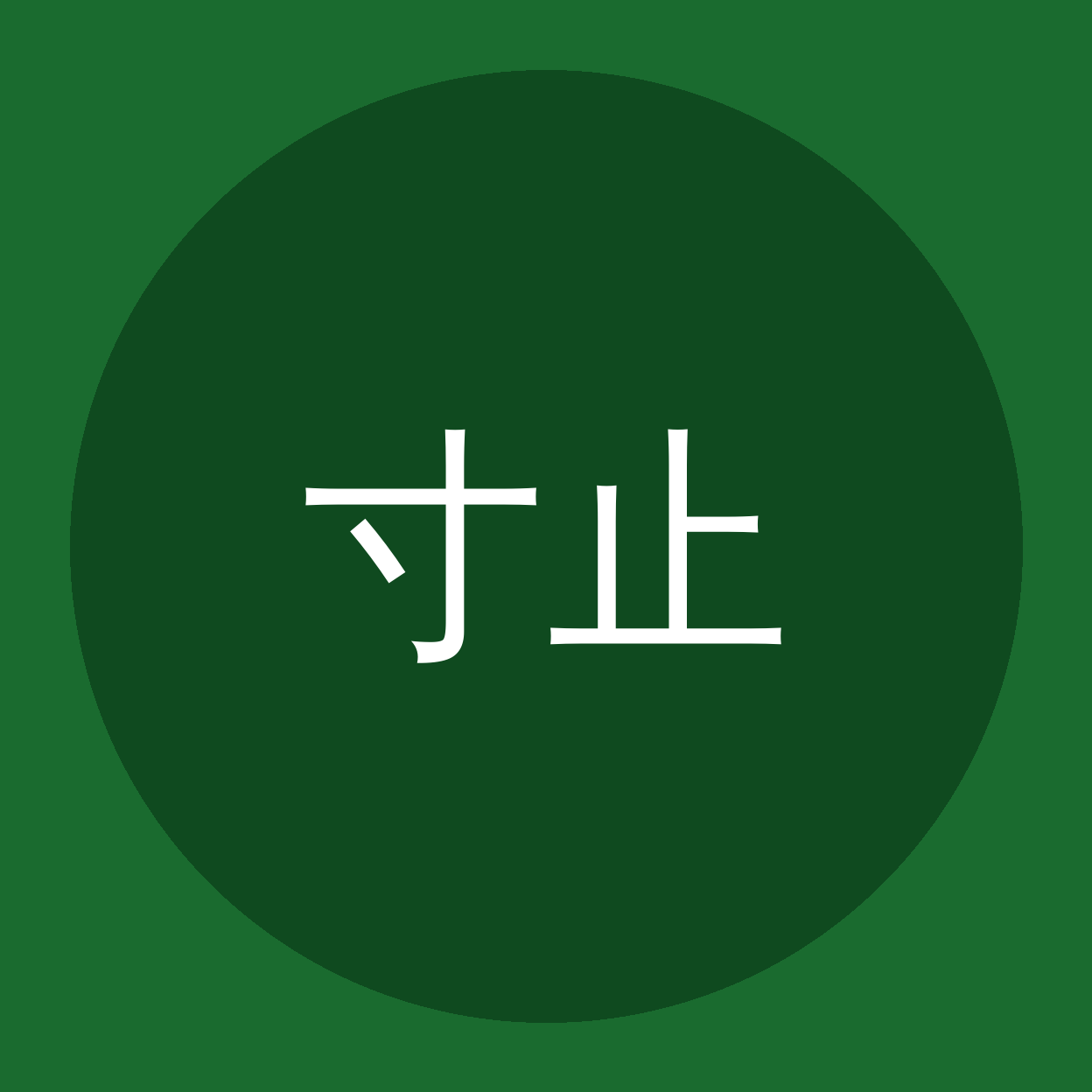 寸止挑战品牌Logo